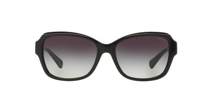 Coach shop sunglasses hc8160