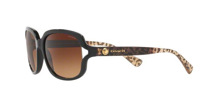 Coach sunglasses hc8169 sale