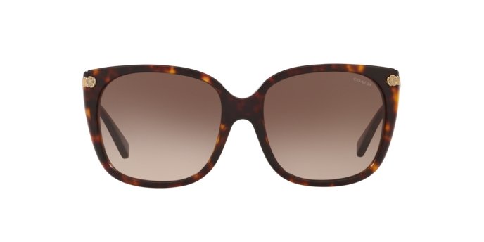 Best deal of COACH HC8272F 512013/DARK TORTOISE SUNGLASSES