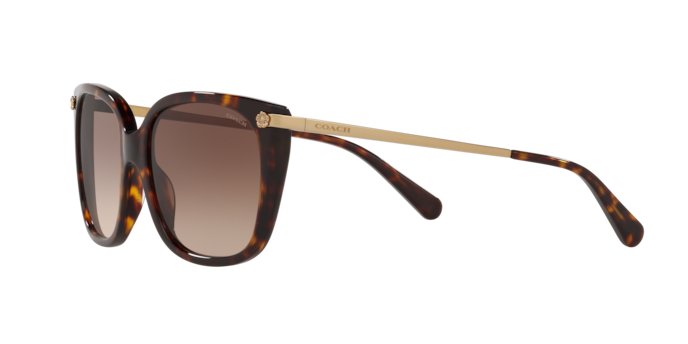 COACH サングラス HC8272F SALE コーチ サングラス COACH サングラス HC8272F 512013