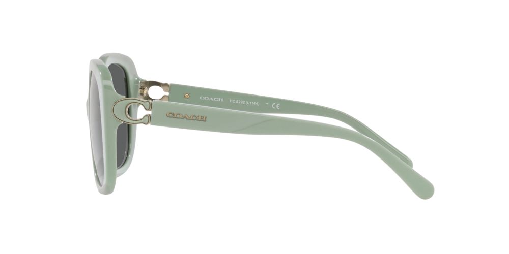 Green coach hot sale sunglasses