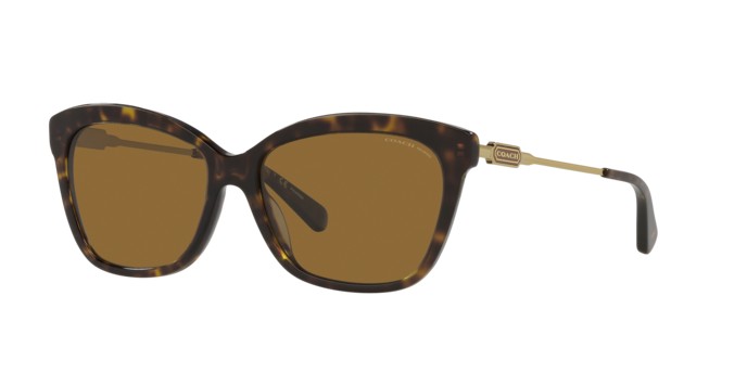 Coach hc8305 dark tortoise rx sunglasses