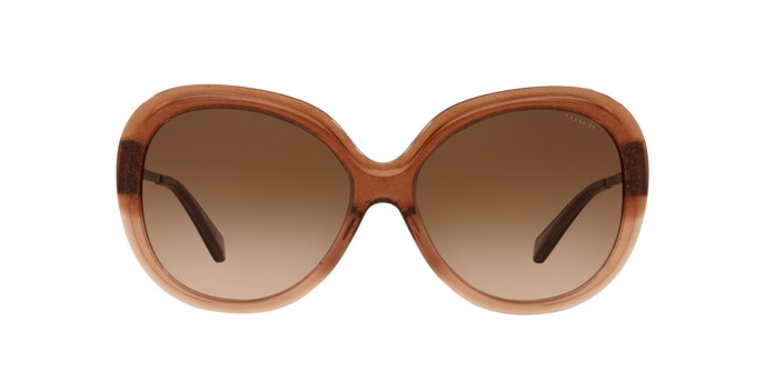 Coach hc8314f shimmer brown amber gradient sunglasses