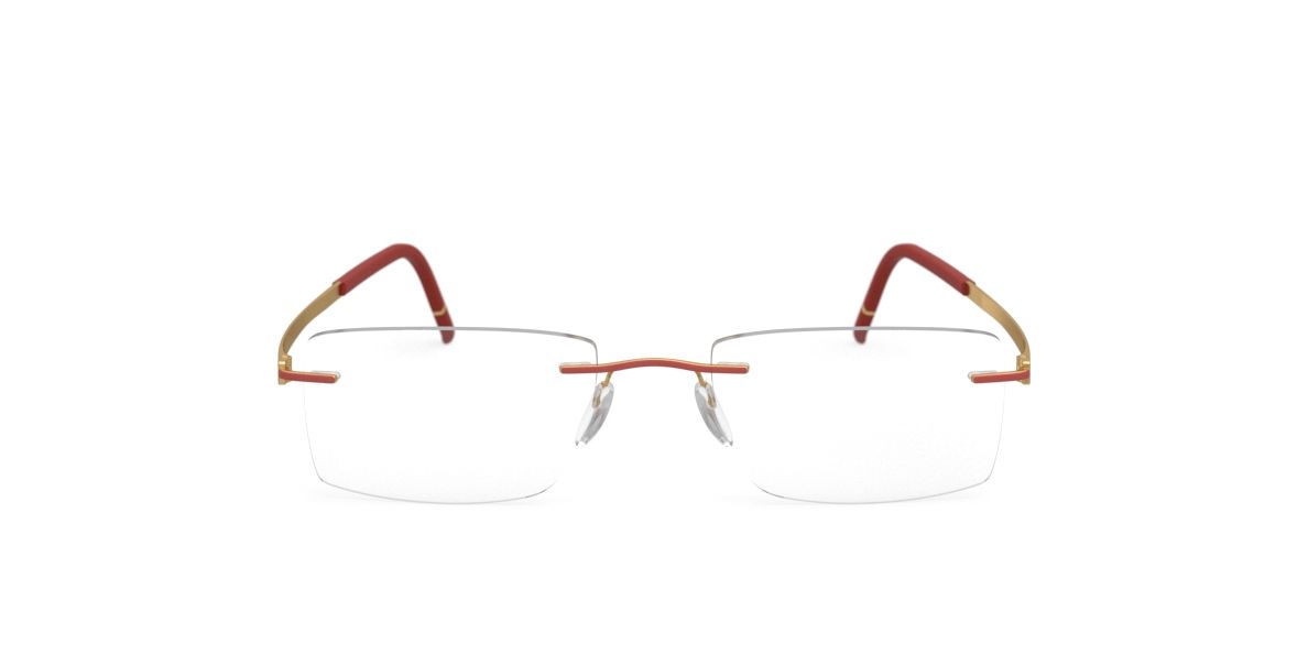 MOMENTUM 5529 FG