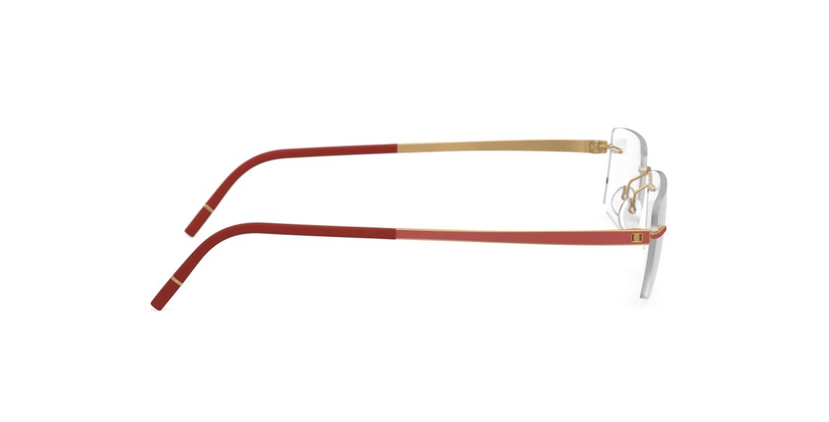 MOMENTUM 5529 FG