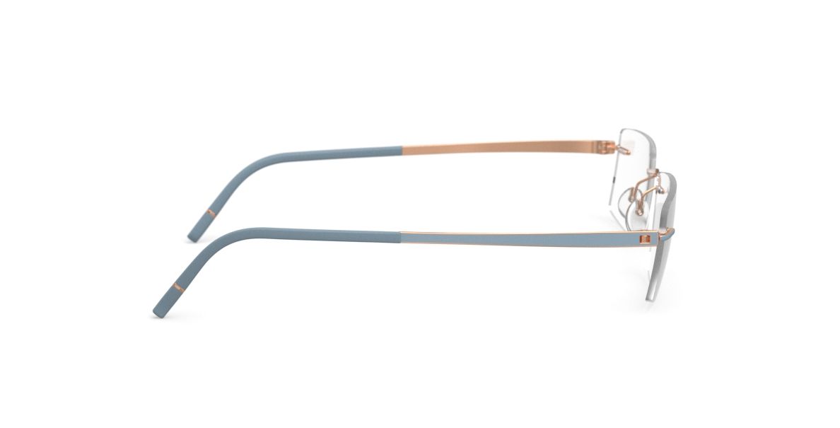 MOMENTUM 5529 FG
