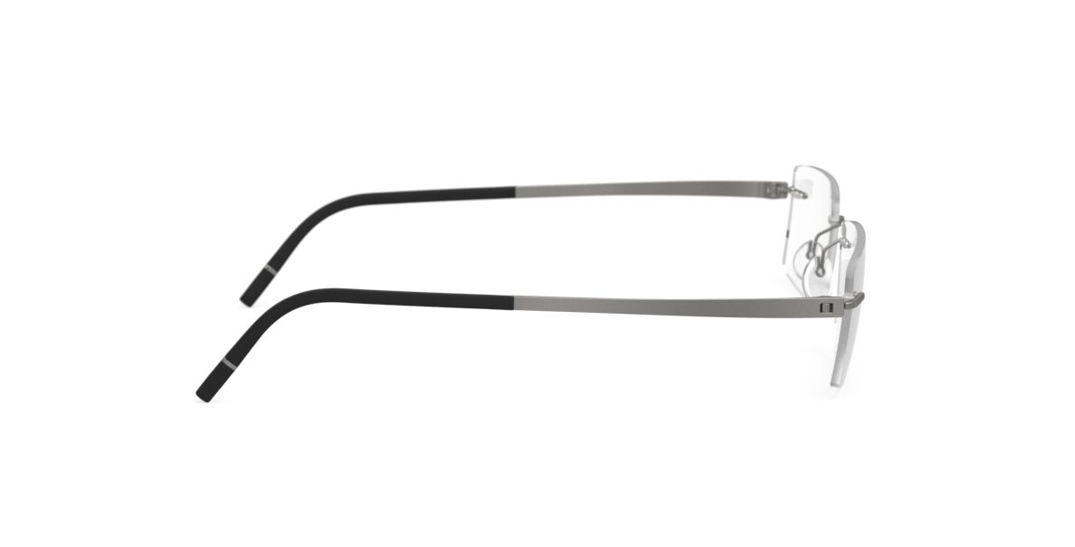 MOMENTUM 5529 FG