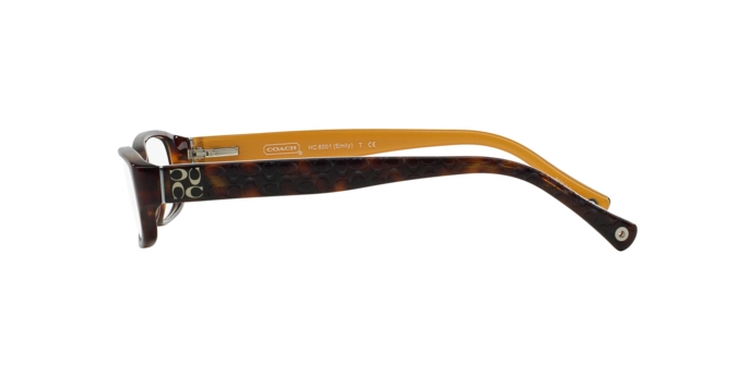 HC6001