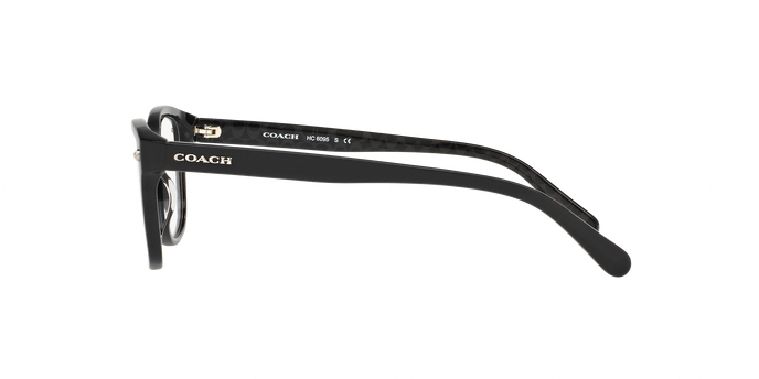 HC6095F