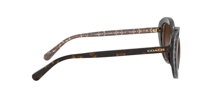 HC8289F